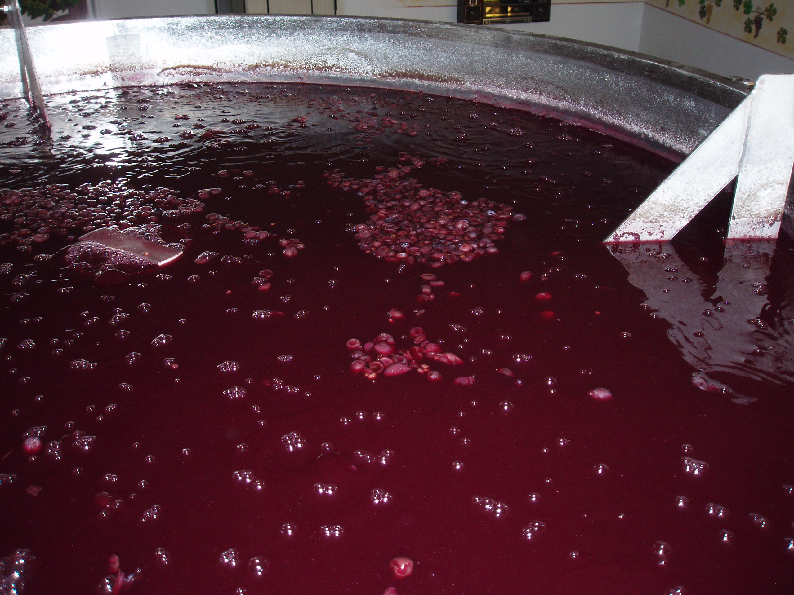 Fermentazione in vasche d'acciaio